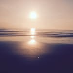 Torunn Franang - @tracydame - Instagram