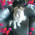 Tracy Davidson - @tracy.davidson.902 - Instagram