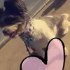 Tracy Davidson - @tracy.davidson200 - TikTok