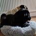 Tracy Davidson - Facebook