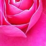 Tracy Decker - @tracy.decker.378 - Instagram