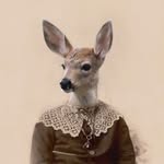 Deer Tracy - @deardeertracy - Instagram