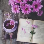 Tracy Deering 📚✏️ - @tracy_deer48 - Instagram