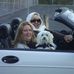 Tracy DeJohn - Facebook