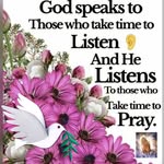 Tracy Delano Thomas - @tracytronco - Instagram