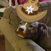 Trace Devore - Facebook