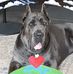 Traci DeVore - Facebook