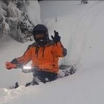 Tracy DeVries - @burlybugger - Instagram