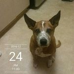 tracy devries - @mort20888 - Instagram