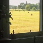 Tracy Hubbell-DeVries - @hubsgothealthy - Instagram