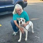 Tracy Diemer Teer - @tracydiemer - Instagram