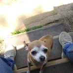 Tracy Ditzler - Facebook