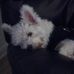 Tracy Ditzler - Facebook