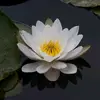 Mộc@ - @tracydoan0111 - TikTok