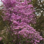 Tracy Doan - @doantr - Instagram