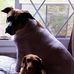 Tracy Dotson - Facebook