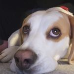 Tracy Doughty - @tracy.doughty70 - Instagram