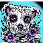 Tracy Doughty - @doughty.tracy75 - Instagram