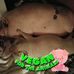 Tracy Dovey - Facebook