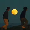 Tracy.Dove - @tracy.dove0 - TikTok