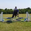 Tracey Downing - @traceydowning1 - TikTok