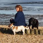 Tracy Downing - @tracyd6567 - Instagram