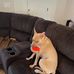 Tracey Doyle - Facebook