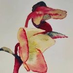 TrACs - Tracy Dudley - @tracysartandcards - Instagram
