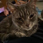 Tracy Dudley - @madhatterknitter3 - Instagram