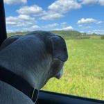 Tracy Dull - @tracy.dull.3 - Instagram