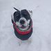 Tracy Dunn Durfee - Facebook