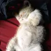 Tracy Durr246 - @tracydurr - TikTok