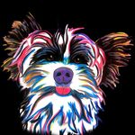 Tracy Dye - @nashville_biewers - Instagram