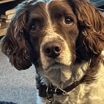 Tracy Eales - @teales1801 - Instagram
