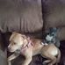 Traci Earls - Facebook