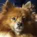 Tracy Earls - Facebook