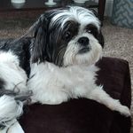 Tracy Ebert - @tracyebert530 - Instagram