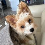 Tracy Poole - @tracy.ebertpoole - Instagram