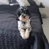 Tracy Egan - @tracyegan0 - TikTok