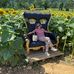 Tracey Ehrlich Foley - Facebook