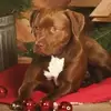 Tracy Eidson - @tracy.eidson - TikTok