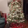 Tracy Elleman - @tracy.elleman - TikTok