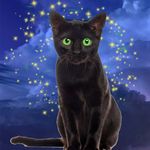 Tracy England - @mystical_and_enchanting - Instagram
