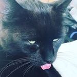Tracy England - @tracyengland47 - Instagram