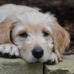 Tracy England - @tracyment1 - Instagram