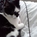 Tracy England - @tracy.england.357 - Instagram