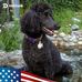 Tracy Engstrom - Facebook