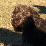 Tracy Goetz Epps - @tgepps67 - Instagram
