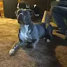 tracy erwin - @lucky_luvs_jeepin - TikTok