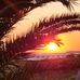 Traci Ewing - Facebook